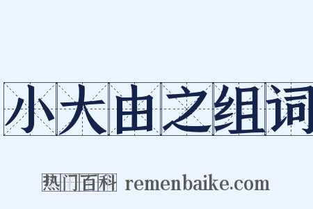 小大由之组词是什么意思的图片